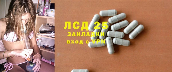 индика Коряжма