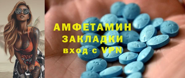 индика Коряжма