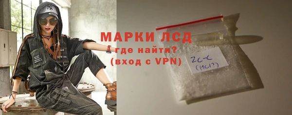 индика Коряжма