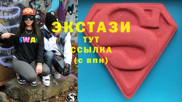 индика Коряжма