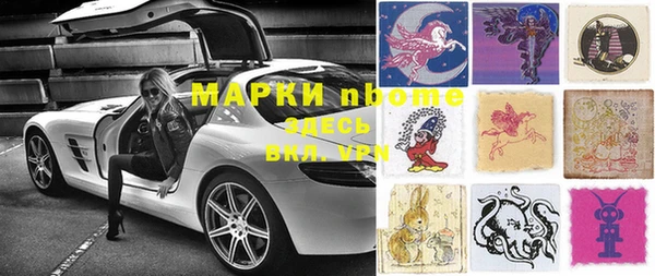 индика Коряжма