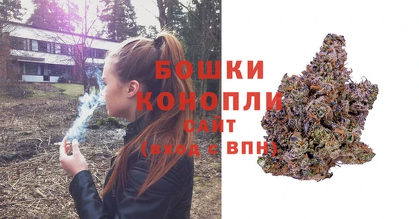 индика Коряжма