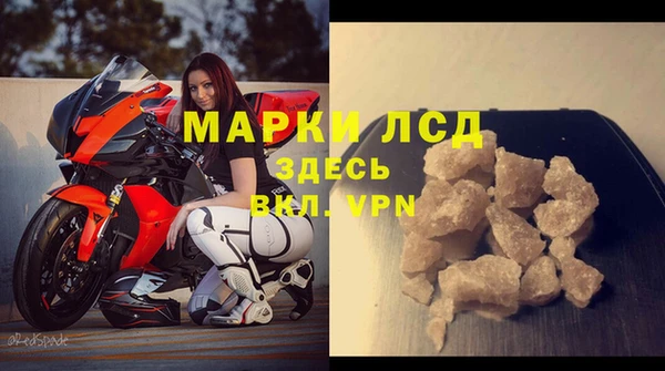 индика Коряжма