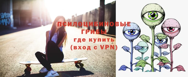 дмт Корсаков