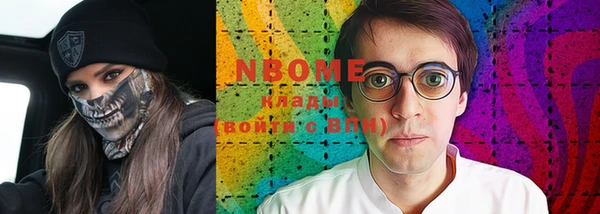 индика Коряжма