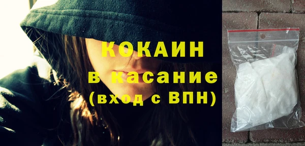 индика Коряжма