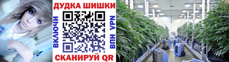 как найти закладки  Макарьев  Канабис VHQ 
